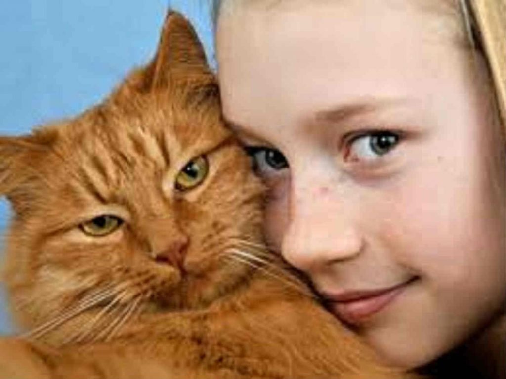Menina bonita abraçada com um gato.