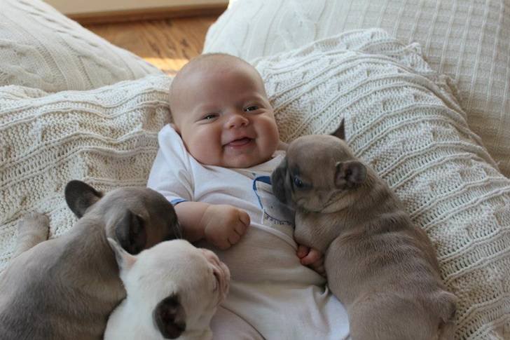 Um bebê no meio de três cãezinhos dando muita risada.