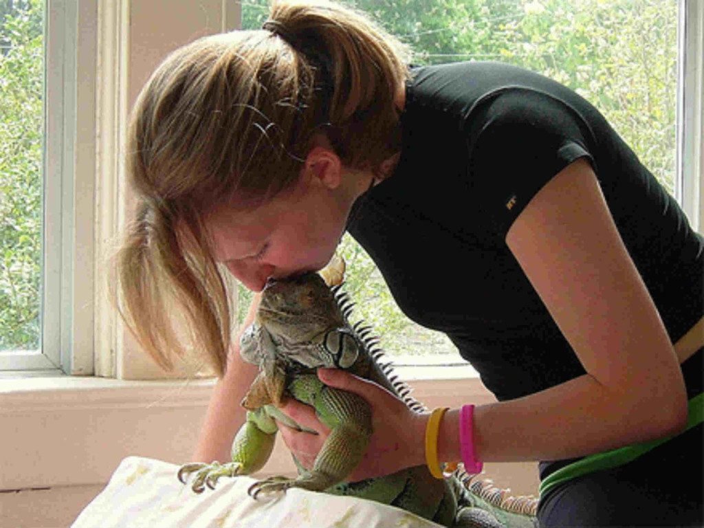 Mulher dando beijp em um camaleão.