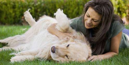 Mulher muito bonita brincando no jardim com um cachorro grande e branco.